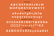 Retro Groove – Groovy Retro Font, a Serif Font by vladocar (Thumbnail 3 of 10)