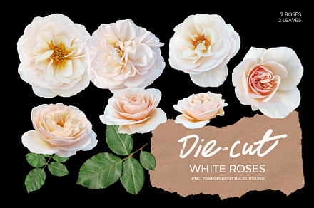 Die-Cut White Roses Photo Pack