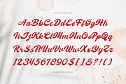 Melcostra | Handwritten Bold Script, a Script Font by gracetype_studio (Thumbnail 10 of 12)
