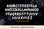Frost SVG Font + Brushes, a Symbol Font by Graphicfresh (Thumbnail 10 of 11)