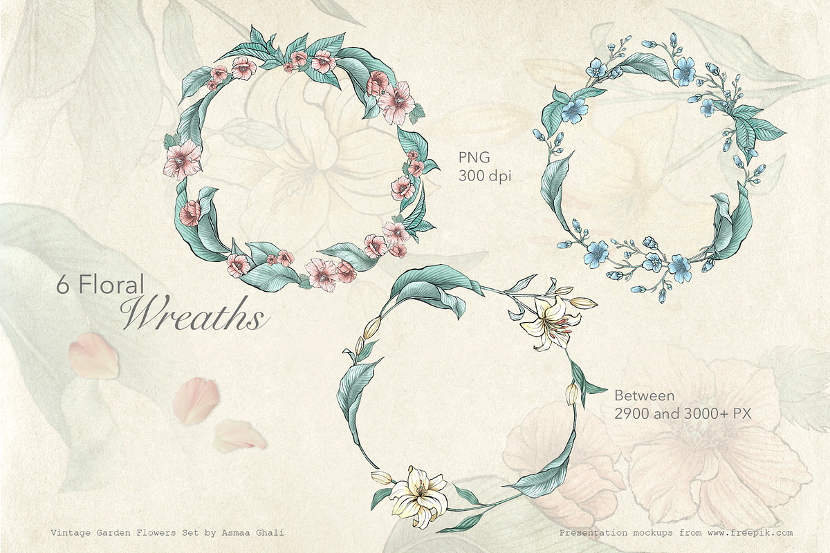 Vintage Garden Flowers, a Decorative Illustration by Evenif (Photo 6 of 22)
