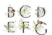 l'Herbolario - Wild Floral Graphics, an Illustration by studioequinox (Thumbnail 12 of 14)