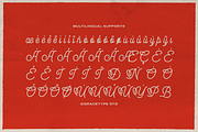 Audley Ipswitch | Monoline Script, a Script Font by gracetype_studio (Thumbnail 12 of 12)