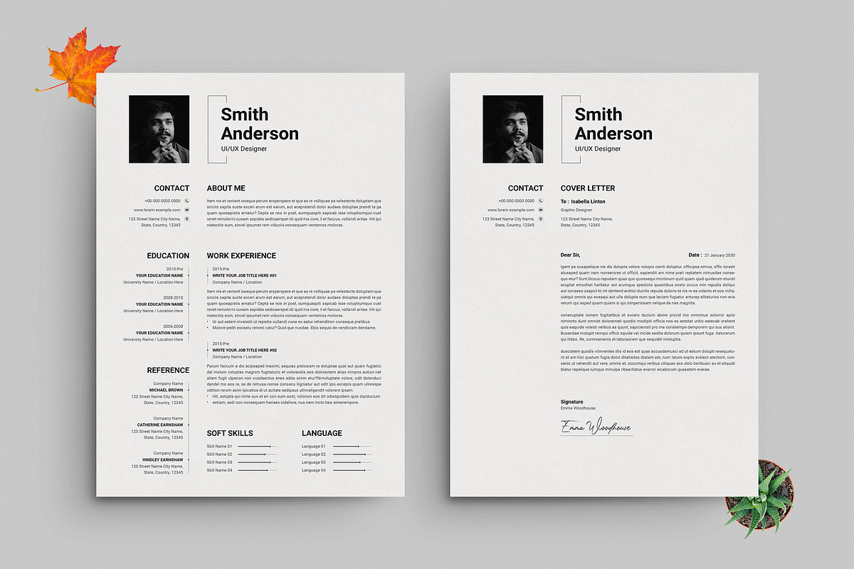 Professional Resume and Cover Letter