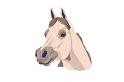 Horse heads set. Stallions breeds, an Animal Illustration by Good Studio (Thumbnail 8 of 12)
