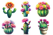 Watercolor Cactus Clipart, an Illustration by Designworld (Thumbnail 2 of 5)