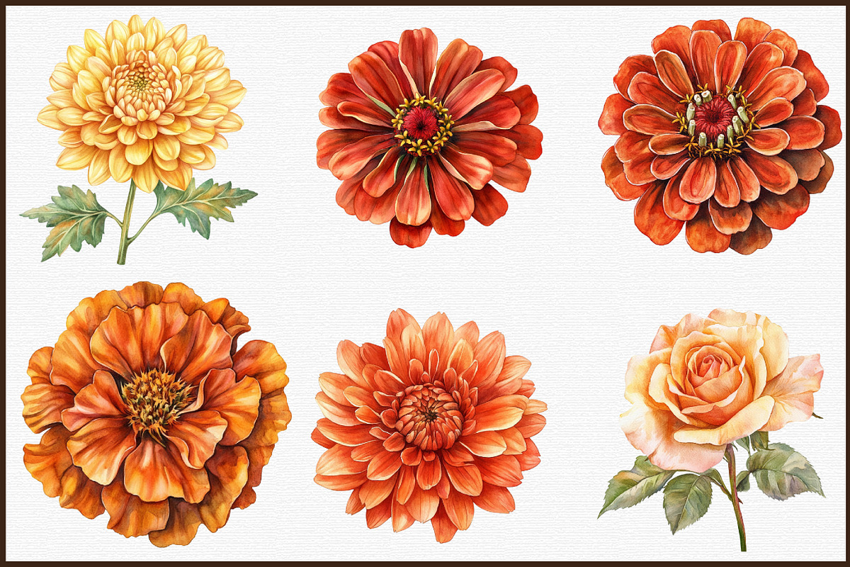 Watercolor Autumn Flowers Clipart, an Illustration by Sublimation Artist (Photo 3 of 6)