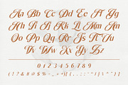Bellavine, a Serif Font by din-studio.com (Thumbnail 6 of 11)