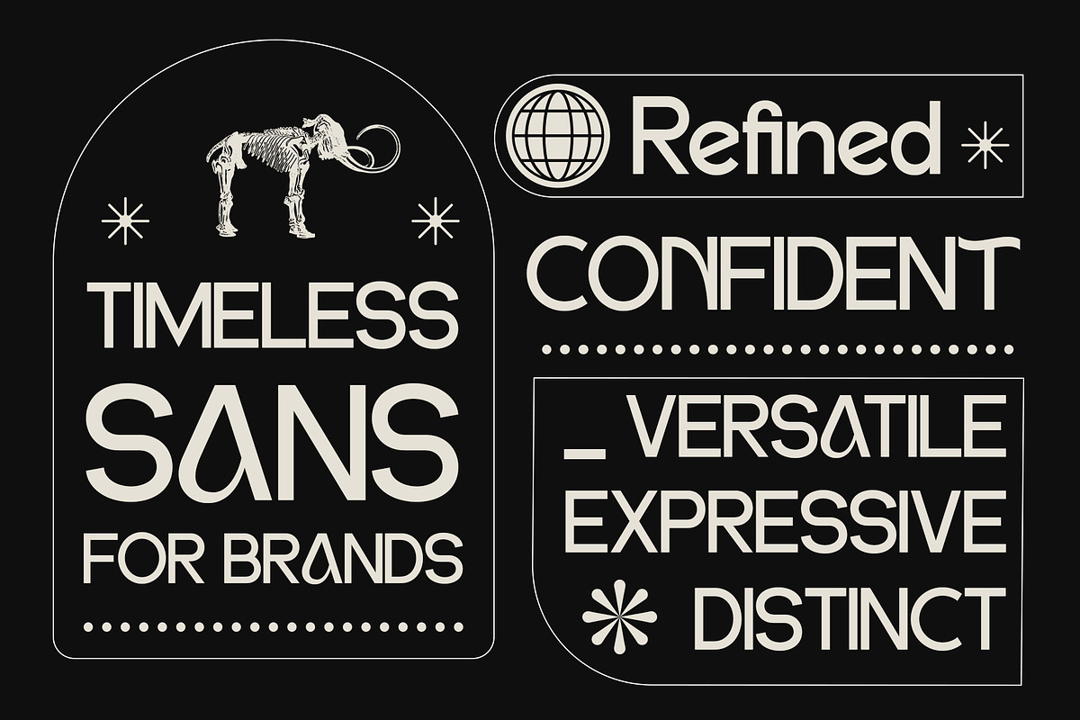 DV Emore, a Sans Serif Font by Damelev (Photo 7 of 13)