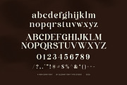 Gareng Elegant Serif Font, a Serif Font by Elegant Font (Thumbnail 6 of 8)
