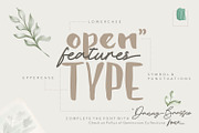 Brushylicious - Aesthetic Brush Font, a Font by Pollux of Geminorum (Thumbnail 3 of 12)