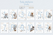 Watercolor Set Baby Milestone Cards, an Animal Illustration by ViktoriyaD (Thumbnail 2 of 5)