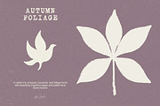 Autumn Foliage: 100 Leaves Pack, an Object Illustration by Veyla (Thumbnail 8 of 15)