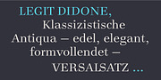 Legit Didone, a Serif Font by Finaltype (Thumbnail 7 of 13)