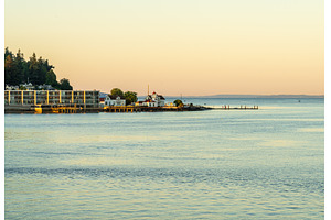 Early sun lights Lighthouse Park in, a Nature Photo by Backyard Stock