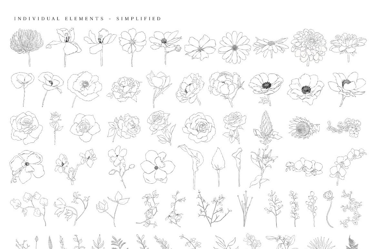 Ultimate Flower & Leaf Collection, an Object Graphic by Pretty Little Lines (Photo 35 of 47)