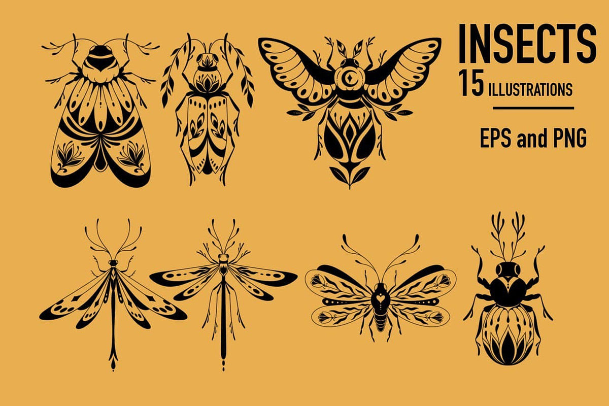 Insects. Graphic clipart + patterns., a Wallpaper Graphic by heyXeni (Photo 2 of 5)