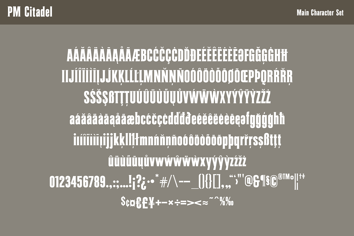 Citadel Fantasy Game Font, a Serif Font by Paper Moon Graphic Supply (Photo 3 of 6)