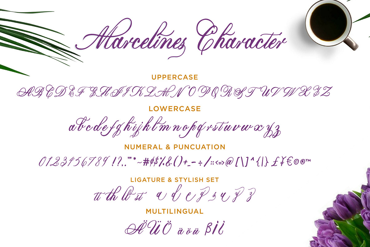 Marcellines a Calligraphy font, a Script Font by Javatype Studio (Photo 9 of 10)