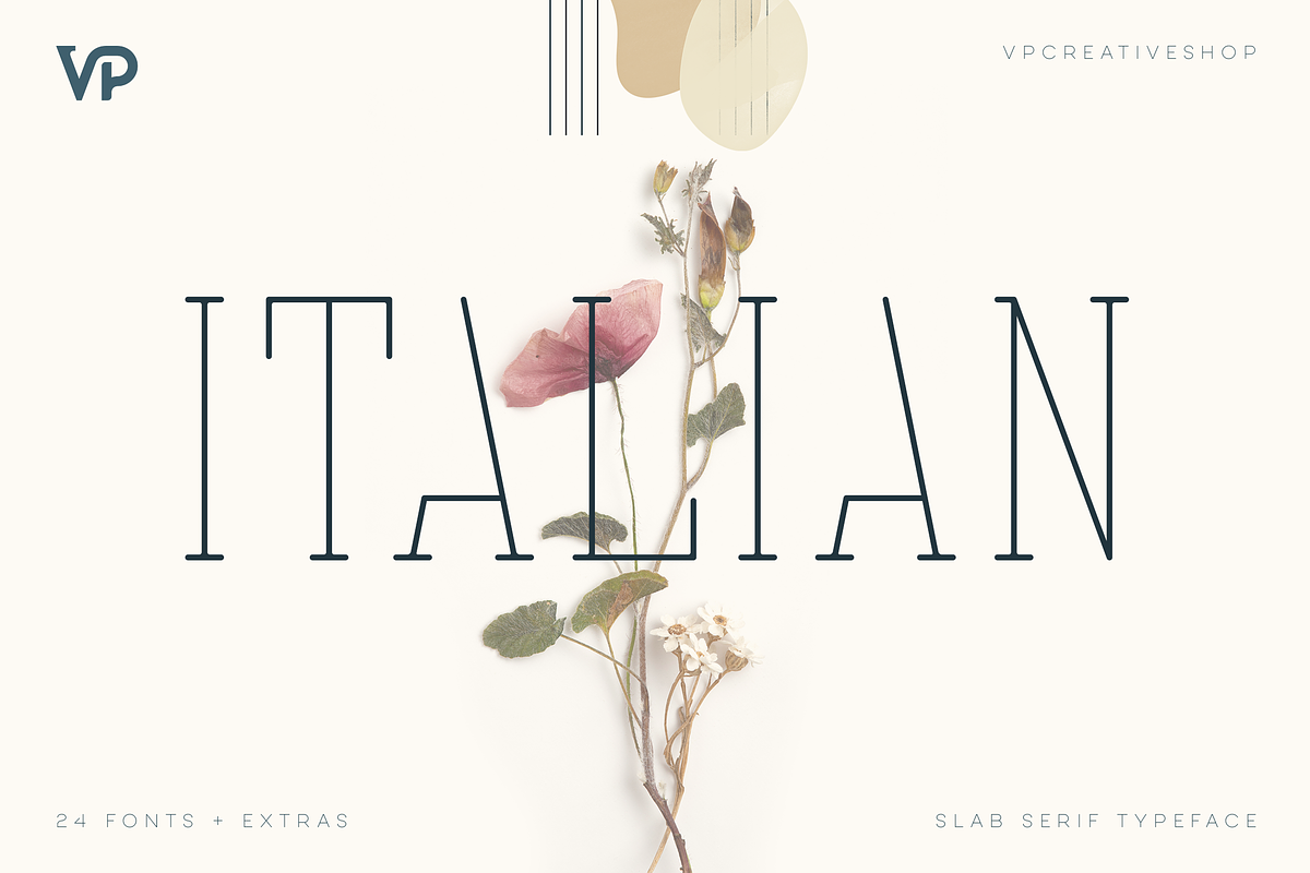 SALE! Italian Slab Serif - 24 fonts, a Slab Serif Font by VP Fonts (Photo 1 of 11)