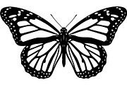 Butterfly Silhouette Bundle, an Object Graphic by Designer_Momina (Thumbnail 15 of 20)