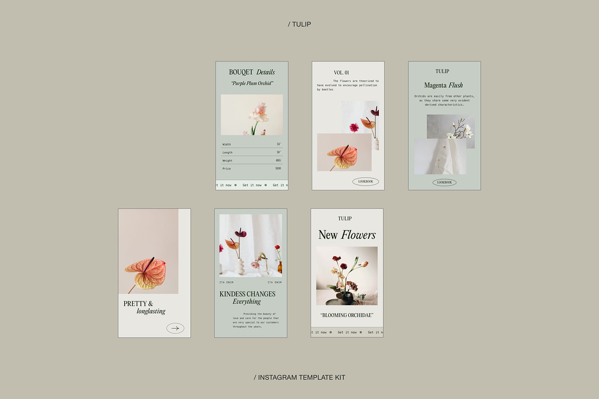 Tulip | Instagram Social Media Kit, a Social Media Template by Skolastika Phoebe (Photo 6 of 7)