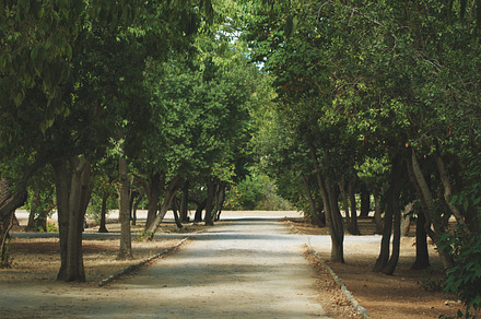 Boulevard