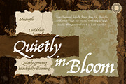 Northwick Press - Heritage In Print, a Serif Font by Setara Langit CreativeStd (Thumbnail 5 of 15)