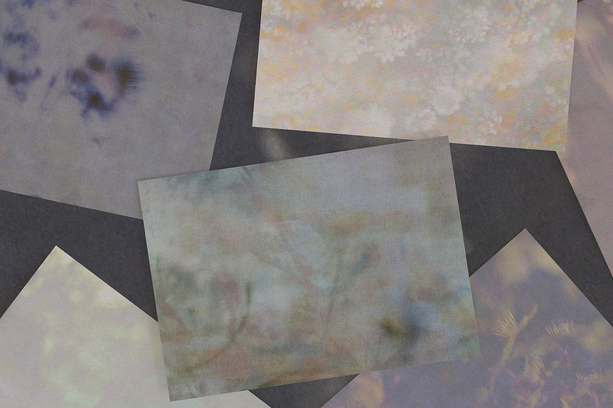 Hushed Bloom - Floral Backgrounds, a Texture Graphic by lerinartstudio (Photo 7 of 13)