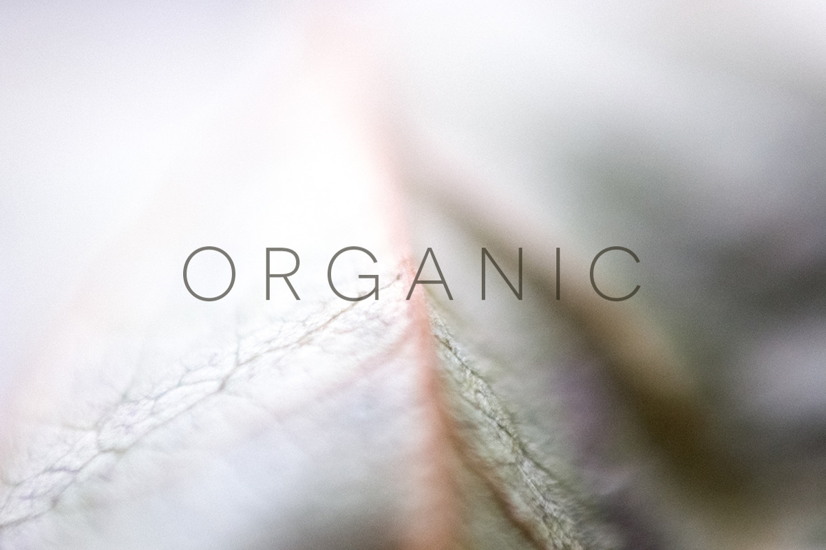 Organic | 20 Botanical Photos, a Nature Photo by Melanie Helena (Photo 17 of 20)