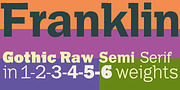 Franklin Gothic Raw Semi Serif, a Sans Serif Font by Wiescher-Design (Thumbnail 2 of 6)