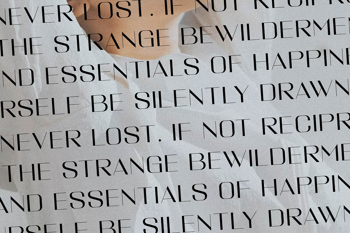 Veganzone Armstrong Modern Font Duo, a Serif Font by Storytype Studio (Photo 8 of 13)