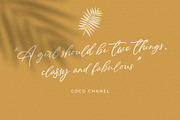 Sunpalm Addict | Modern Calligraphy, a Script Font by YdhraStudio (Thumbnail 8 of 22)