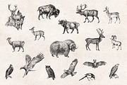 Wild Animals Engravings, an Object Graphic by Graphic Goods (Thumbnail 7 of 9)