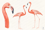 Watercolor tropical leaves flamingo, an Illustration by GrafikBoutique (Thumbnail 3 of 3)