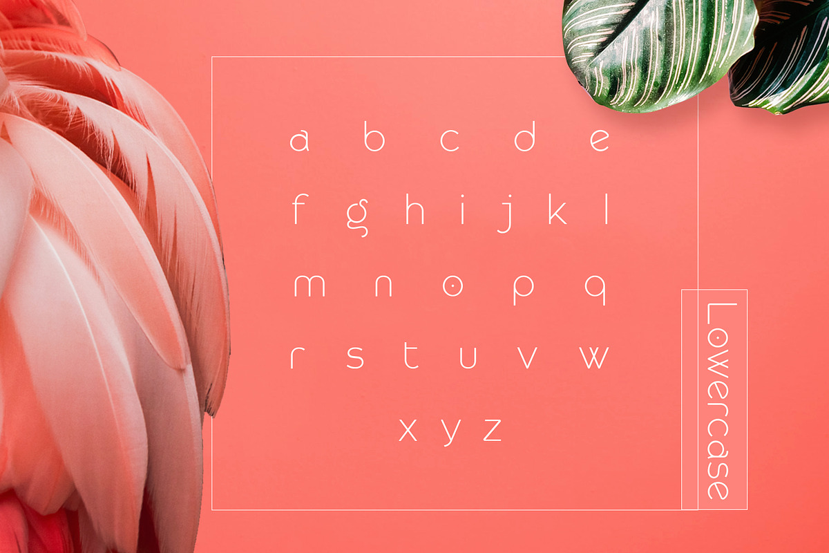 Rollgates Modern Sans preview 6