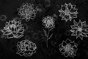 Minimalistic Floral Illustrations, a Decorative Illustration by Chimerique (Thumbnail 9 of 9)