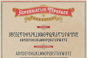 Aspernatur Vintage Family, a Serif Font by wubstudio (Thumbnail 2 of 13)