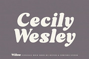 Willow. Typeface Bold Serif, a Serif Font by Kleffont Studio (Thumbnail 9 of 10)