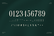 Monthe Calligraphy Serif Font, a Handwritten Font by Rasio Studio (Thumbnail 5 of 11)