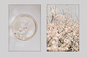 Spring Blossom Bundle, a Nature Photo by akovtun (Thumbnail 2 of 6)