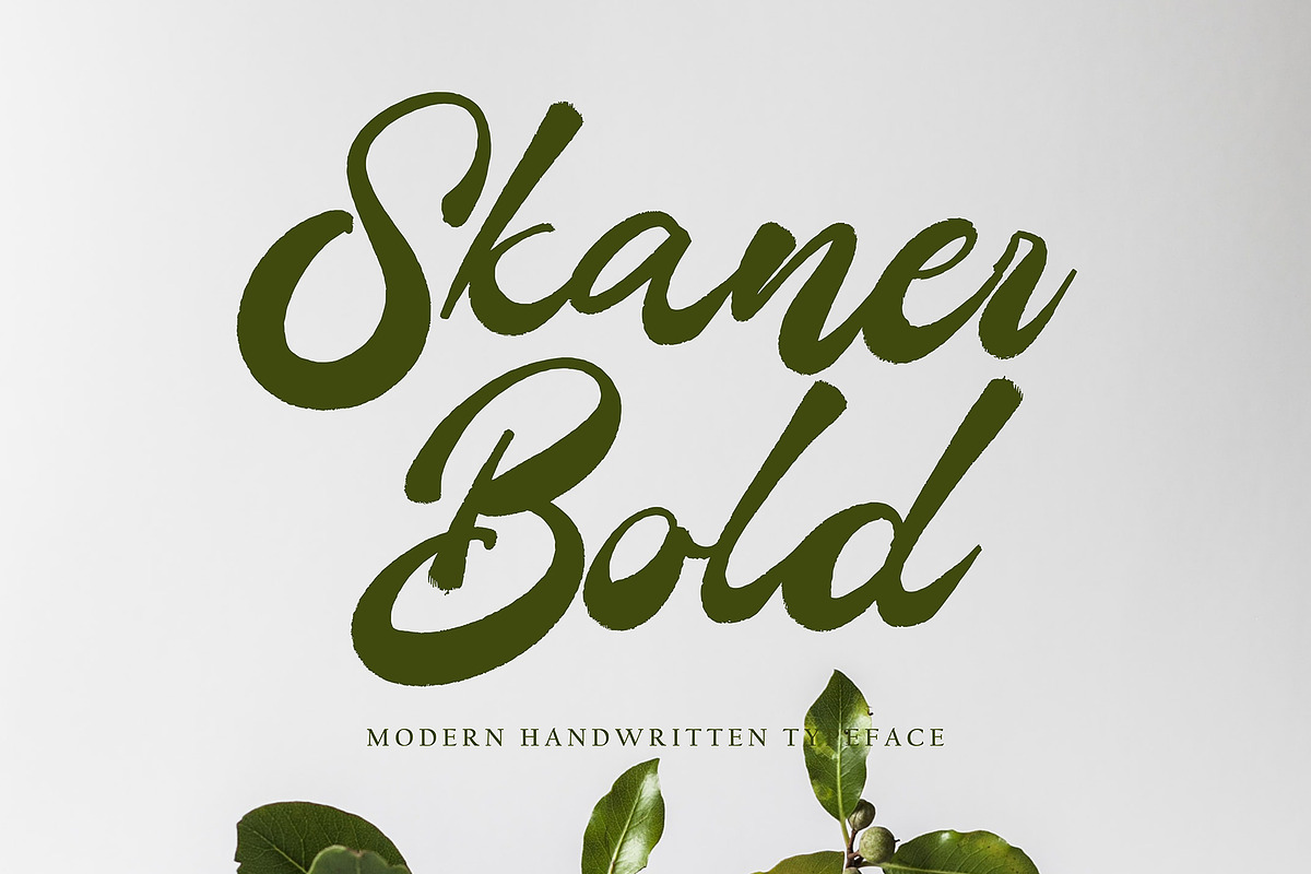 Skaner Bold, a Script Font by pineungtype (Photo 1 of 6)