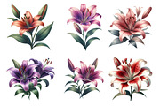 Retro Vintage Lilies Flower Clipart, an Illustration by SinaCreation (Thumbnail 2 of 5)