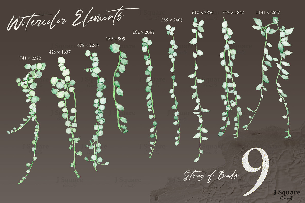 Modern Plants Design Kit, an Object Graphic by JSquarePresents (Photo 11 of 18)