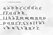 Misologist - Elegante Tipografia, a Script Font by Sronstudio (Thumbnail 15 of 16)