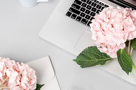 Laptop and Hydrangea Stock Image, a Business Photo by Her Creative Studio