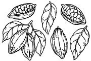 Cocoa beans. doodle collection, a Food Illustration by made by Tanya (Thumbnail 2 of 3)