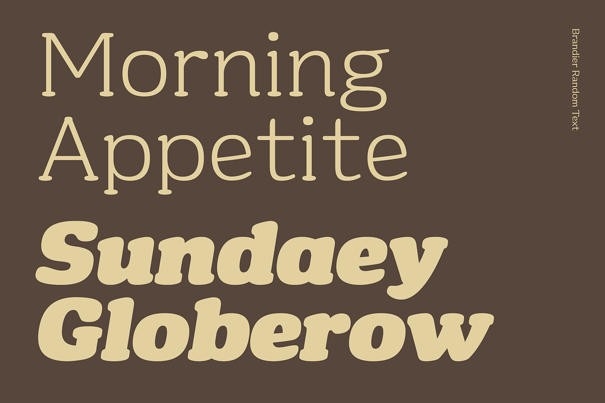 Brandier; Soft Serif Font Family, a Serif Font by Eko Bimantara (Photo 10 of 11)