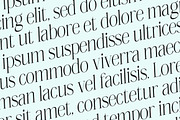 Megilona, a Serif Font by Black Studio (Thumbnail 13 of 17)