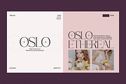 GC Adelite - Stylish Chic Serif, a Serif Font by Glyphonic (Thumbnail 6 of 15)